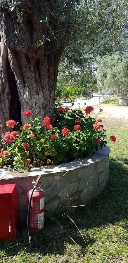 Hotel Maria خْريسيا أموذيا المظهر الخارجي الصورة