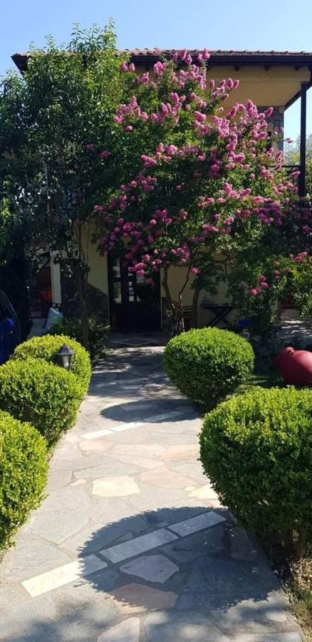 Hotel Maria خْريسيا أموذيا المظهر الخارجي الصورة