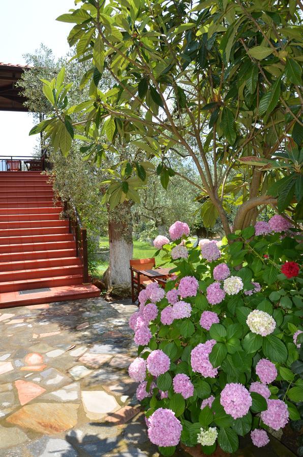 Hotel Maria خْريسيا أموذيا المظهر الخارجي الصورة
